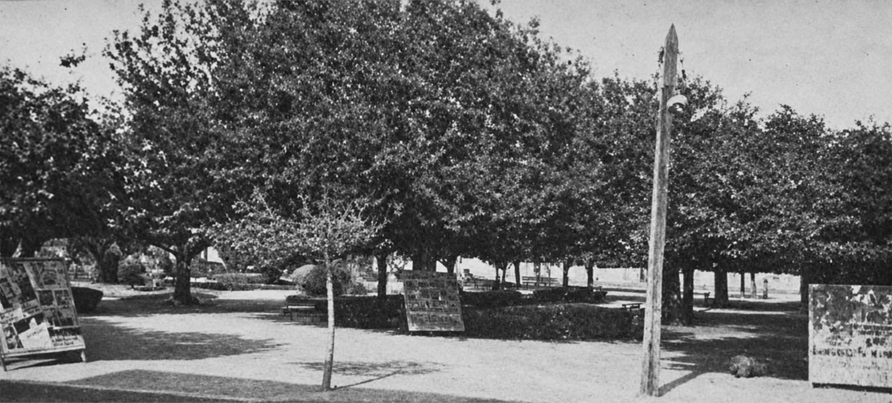 plaza de cañete 1