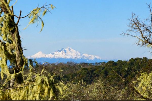 cerros2DAA14061-F4A8-364E-BFFD-93653CC9C608.jpg